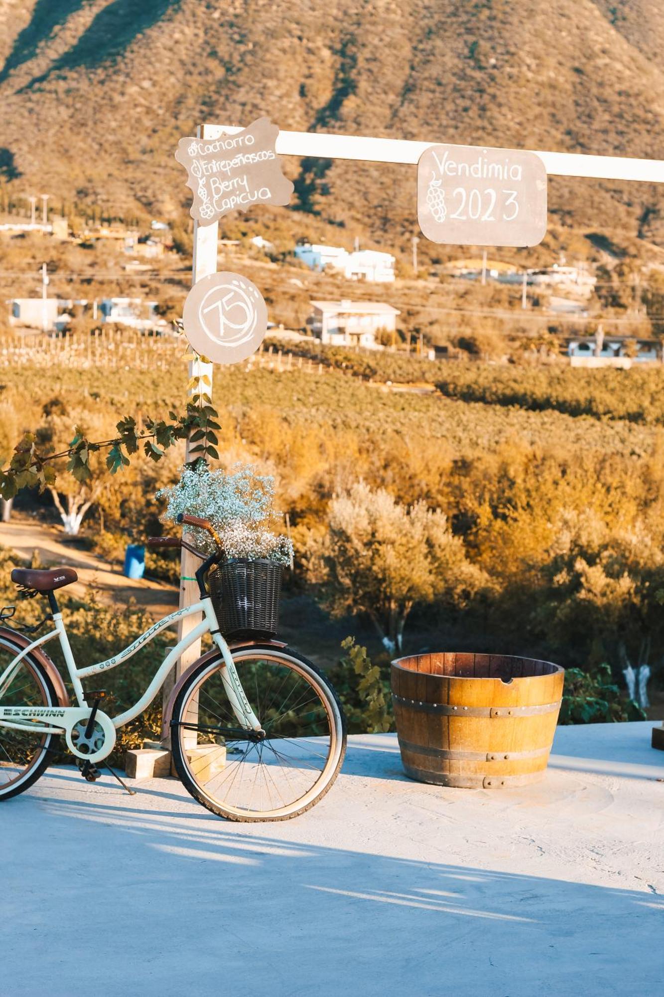 Origen75 Loft - Villas - Skypool - Vinedo, Valle De Guadalupe Εξωτερικό φωτογραφία